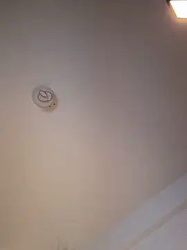 Andrestarr online show from 03-11-26, 06:47