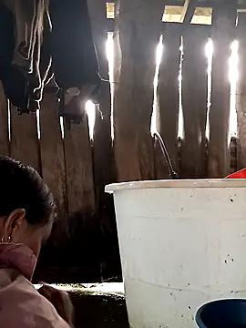 bonnie-00 online show from 03-31-26, 12:01