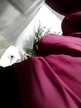 LaraCaliente online show from 11-04-25, 01:27