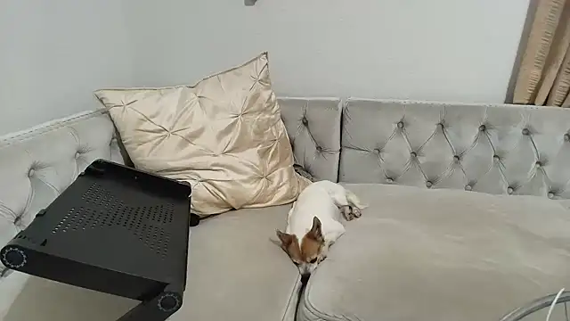 BarbieKarly online show from 12-01-25, 01:21