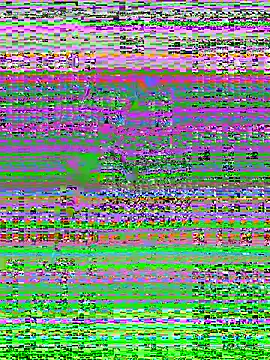 MaddyX   online show from 11-15-25, 07:21