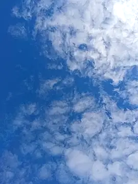 matatan0323 online show from 04-13-26, 02:11