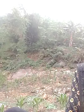 donna-bae online show from 04-12-26, 10:09