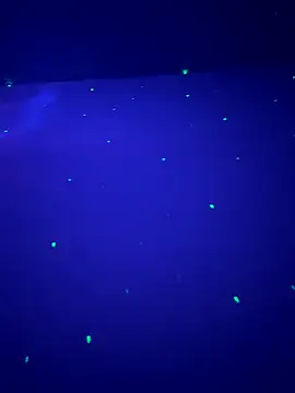 sweetttr online show from 09-16-25, 08:32