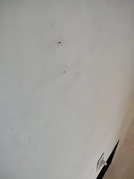 bhabh1 online show from 10-08-25, 07:39