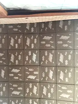 pualldu online show from 11-23-25, 03:06