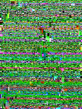 Alan18cmsafado online show from 09-22-25, 03:41