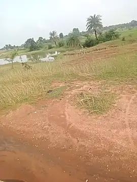 AgitatedStrip9 online show from 09-22-25, 02:35