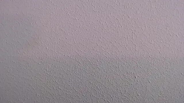 Camila Torresss online show from 03-30-26, 07:26