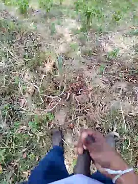 DICKLANKA online show from 09-23-25, 08:28