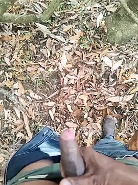 DICKLANKA online show from 09-27-25, 06:29