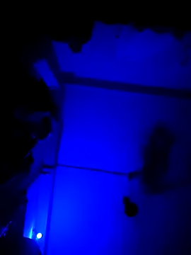 chunkyguy98 online show from 10-06-25, 07:22