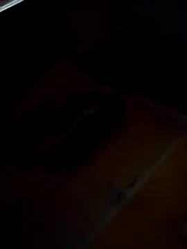 Sumitx007 online show from 09-24-25, 07:06