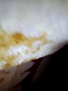 Snapshot of alone_boy802 chatting on 10-06-25, 04:15 alone boy802 online show from 10-06-25, 04:15