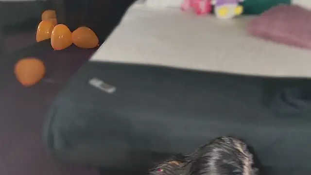 Snapshot of MeganSin_ chatting on 11-06-25, 05:30 MeganSin online show from 11-06-25, 05:30