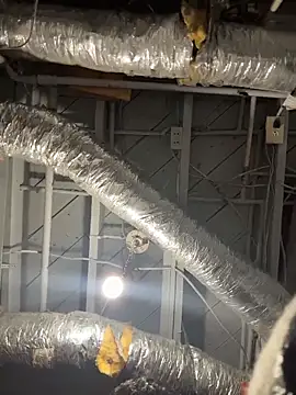 wwolfxxx online show from 04-10-26, 09:03