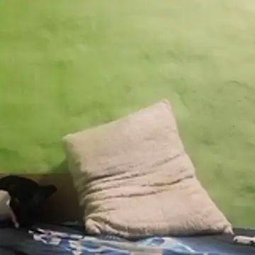 Snapshot of kaland69 chatting on 11-09-25, 09:24 kaland69 online show from 11-09-25, 09:24