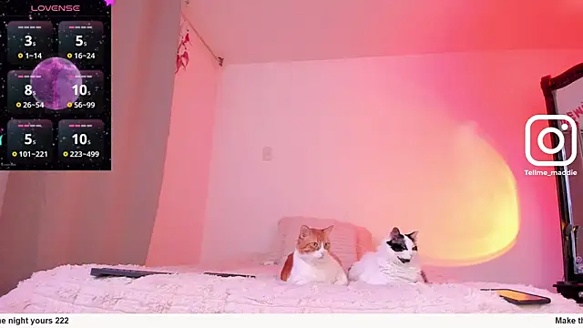 tellmemaddie online show from 11-01-25, 08:11