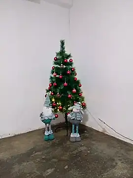 fabulousgirl online show from 12-16-25, 03:55