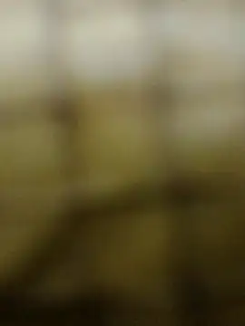 Rs sonam online show from 12-03-25, 10:57