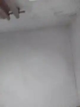 Snapshot of misteriosabb000 chatting on 02-13-26, 10:33 misteriosabb000 online show from 02-13-26, 10:33