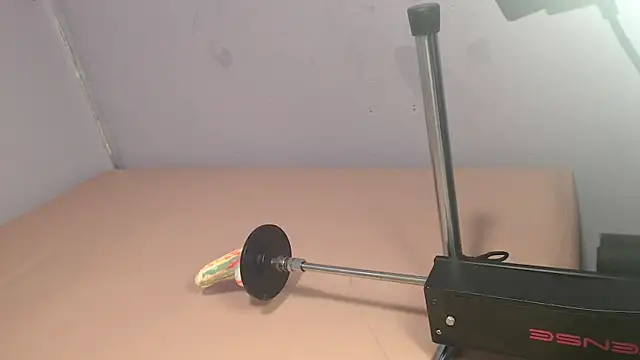 codorniz2025 online show from 04-23-26, 08:46