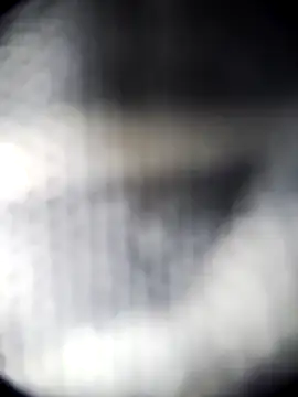 Blanquitakchera online show from 12-21-25, 05:58