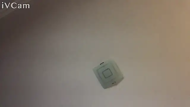 Snapshot of XxvanxX chatting on 11-14-25, 06:50 XxvanxX online show from 11-14-25, 06:50