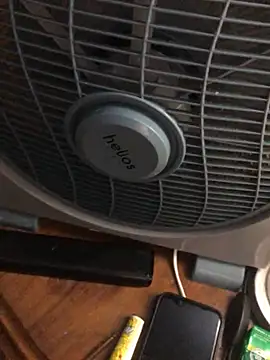 Snapshot of -bunny06 chatting on 10-02-25, 07:10 -bunny06 online show from 10-02-25, 07:10