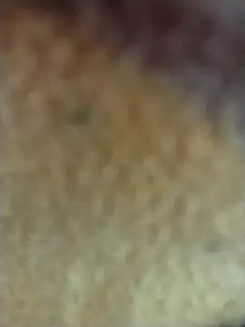 PEEHU-50 online show from 02-02-26, 03:27