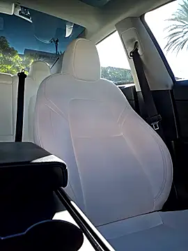 Roddog18 online show from 12-03-25, 09:57