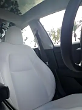 Roddog18 online show from 12-20-25, 07:32