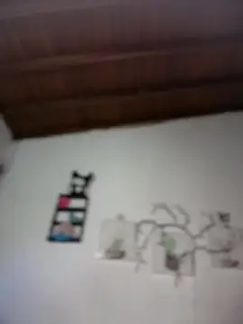 Solaangel  online show from 02-10-26, 12:04