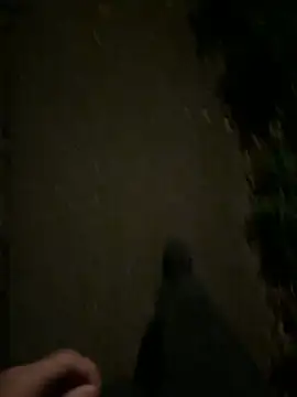 ncjuice  online show from 10-31-25, 10:00