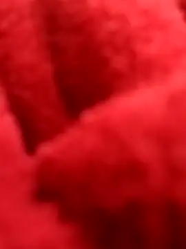 ProXydelhi online show from 02-07-26, 11:19