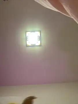 taotaobo online show from 12-15-25, 02:21