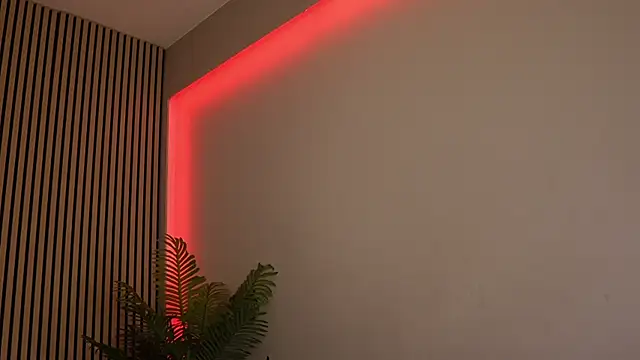 sisi von dee online show from 11-11-25, 08:53