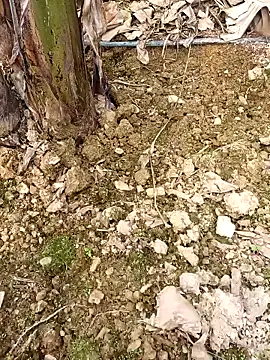 Snapshot of Sikici0734 chatting on 02-24-26, 09:40 Sikici0734 online show from 02-24-26, 09:40