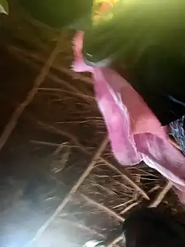 Janvi tv online show from 10-31-25, 05:19