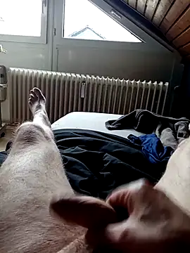 Snapshot of ImperlPerverso59 chatting on 10-07-25, 12:24 ImperlPerverso59 online show from 10-07-25, 12:24