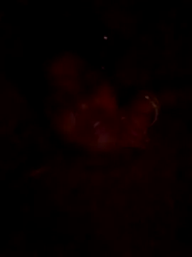 Tg sonam online show from 10-23-25, 04:17