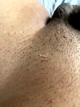 leiteiro2002 online show from 11-05-25, 08:20