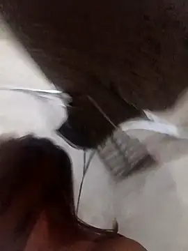 Rabbit-small online show from 12-19-25, 09:33