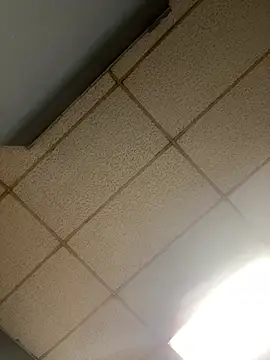 lexuslover687 online show from 04-25-26, 06:05