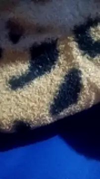 loizasilva online show from 04-28-26, 02:10