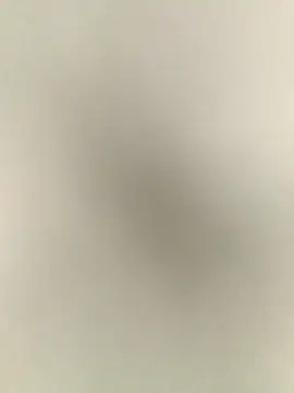 Snapshot of Anchal-8798 chatting on 12-17-25, 06:14 Anchal-8798 online show from 12-17-25, 06:14