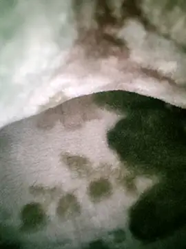 Anchal-8798 online show from 01-12-26, 05:51