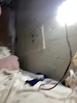 Nectarioteins online show from 02-04-26, 05:24