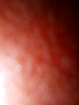 Snapshot of jhbswto chatting on 10-30-25, 09:48 jhbswto online show from 10-30-25, 09:48