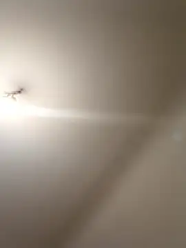 labellerose online show from 01-09-26, 05:59